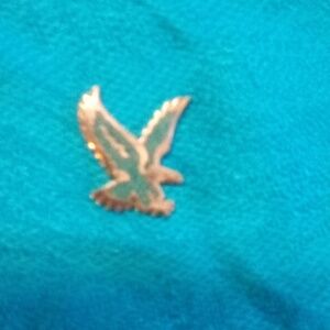 Turquoise & Silver Eagle Pin